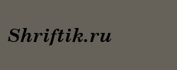 Century Schoolbook Bold Italic 